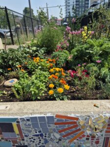 St.Paul garden